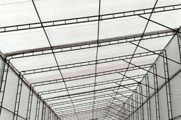carpas web ing 5